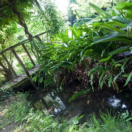 Le Relais Du Touron Carsac-Aillac